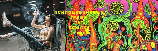a pvp Бронницы