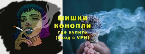 дмт Бородино