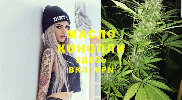 дмт Бородино