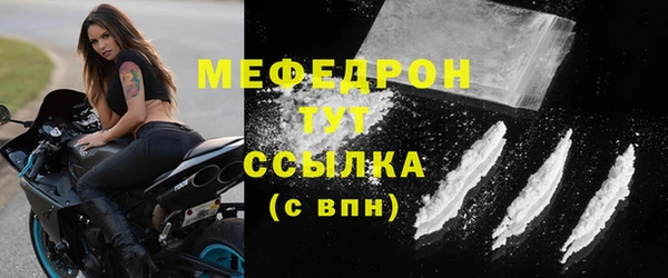 дмт Бородино