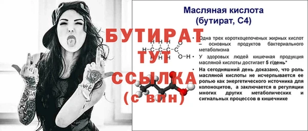 дмт Бородино