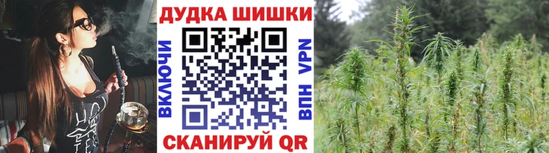 блэк спрут как зайти  Семёнов  Конопля сатива 